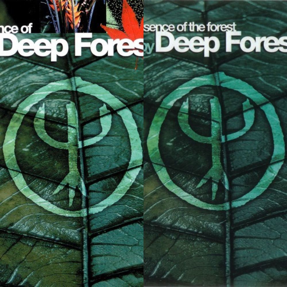 deep forest