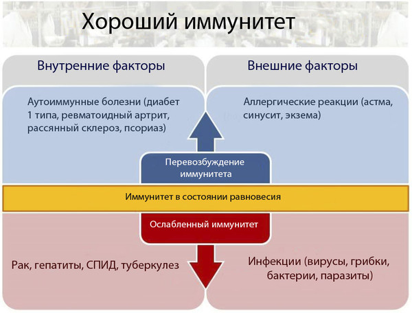 Иммунитет
